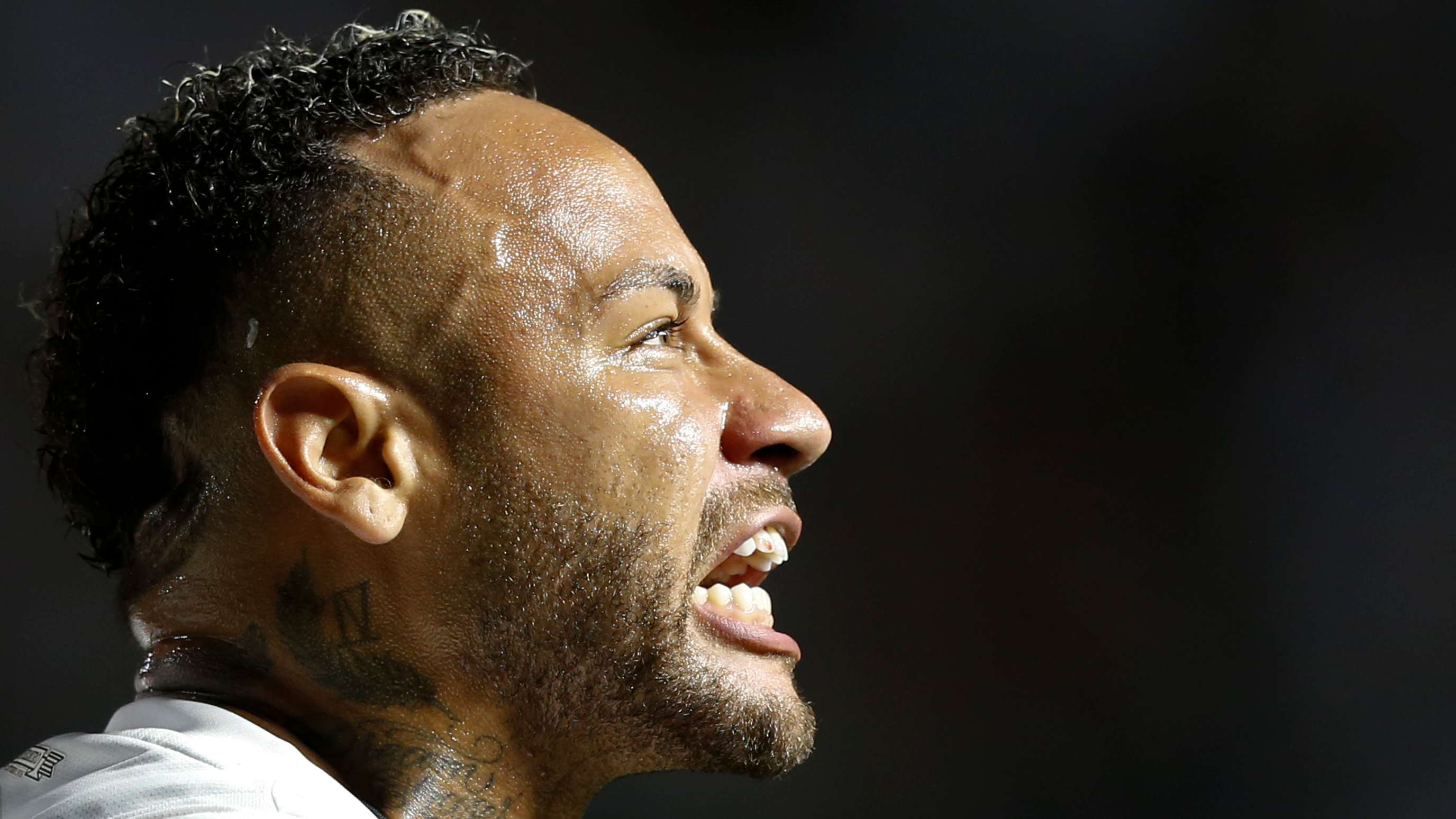 现出了极高 现出了极高